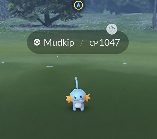 How to Catch Mudkip in Pokemon Go