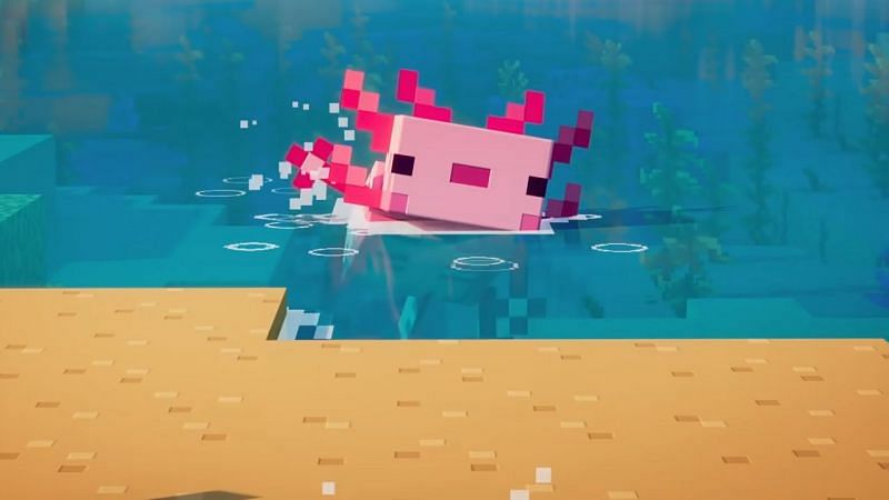 What does axolotl eat in minecraft