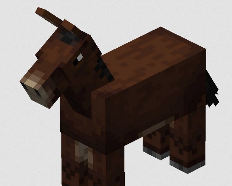 A cool mule (Image via minecraft.fandom)