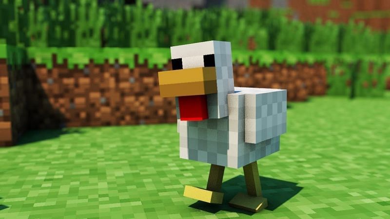 Chicken in Minecraft (Image via Bitz Monster School)
