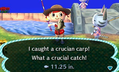 Crucian Carp has always been a special find in Animal Crossing. Image via Animal Crossing World