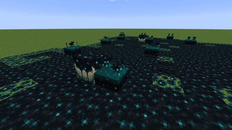 Sculk Blocks in Minecraft: All Types Revealed!
