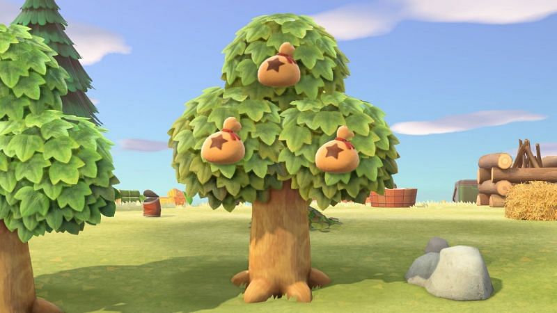 How to plant a money tree in Animal Crossing: New Horizons