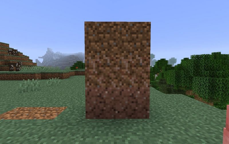 Rooted dirt (Image via Minecraft)