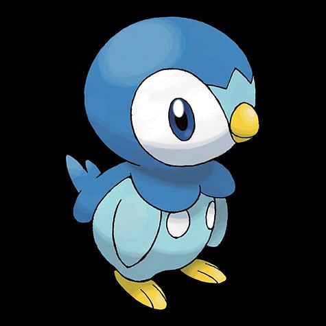 Piplup Pokémon: How to catch, Moves, Pokedex & More