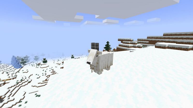 A Goat on snowy mountain (Image via Minecraft)