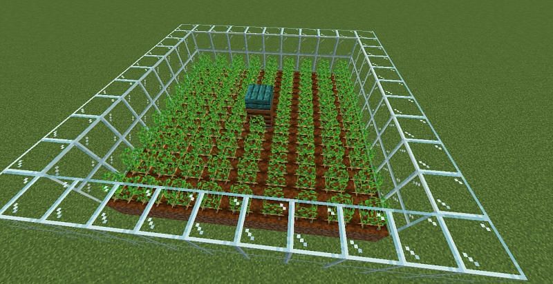 Surround the farm (Image via Minecraft)