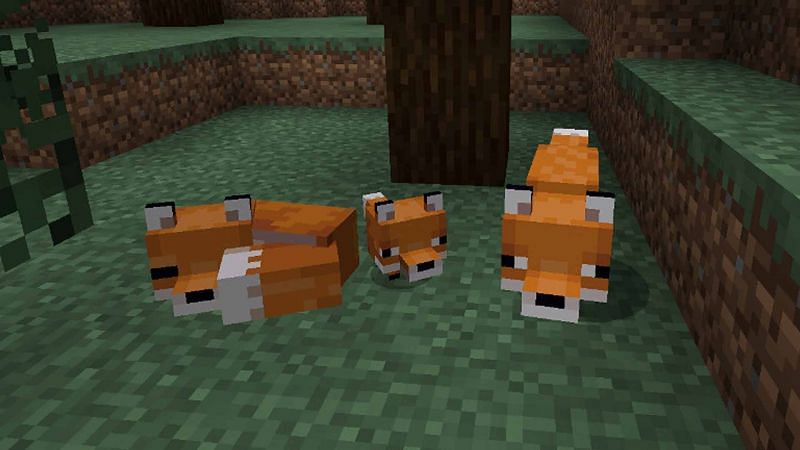 Two adult and a baby fox (Image via gamesradar)
