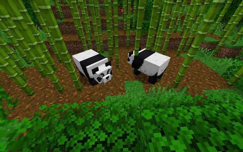 I built a Panda!! Minecraft Map