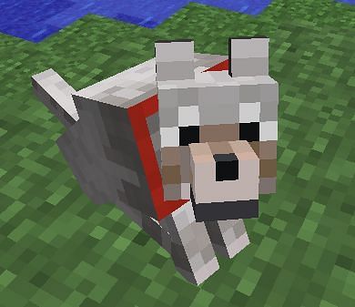 A tamed wolf (Image via IGN)