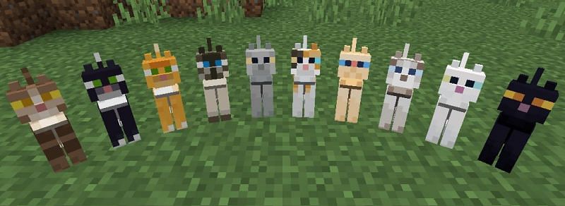 All variants of the Cat in Minecraft (Image via minecraft.fandom)