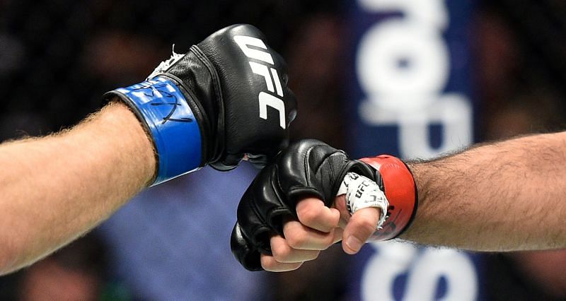 real ufc gloves