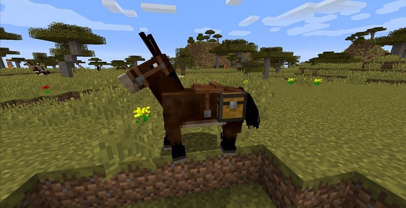 A Mule with its chest pack (Image via Minecraft)