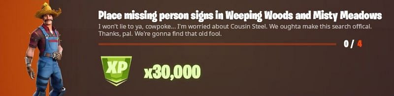 Place missing person signs in Fortnite (Image via ShiinaBR/Twitter)