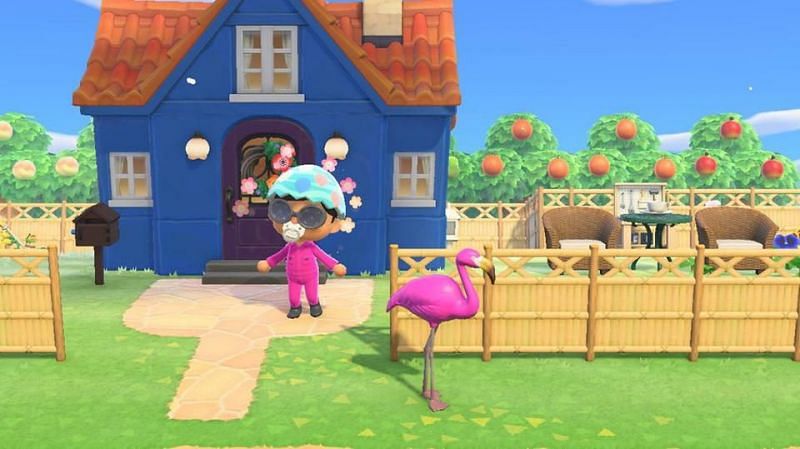 Houses in Animal Crossing. Image via Forbes