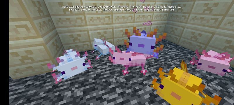 5 Things Beginners Likely Didn T Know About Axolotls In Minecraft 1 17 Caves Cliffs Update