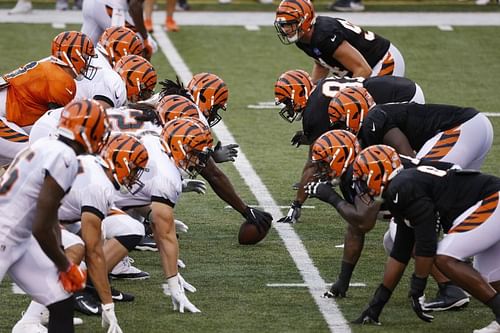 Cincinnati Bengals Training Camp