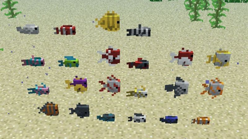 Wild tropical fish variants (Image via Minecraft fandom)