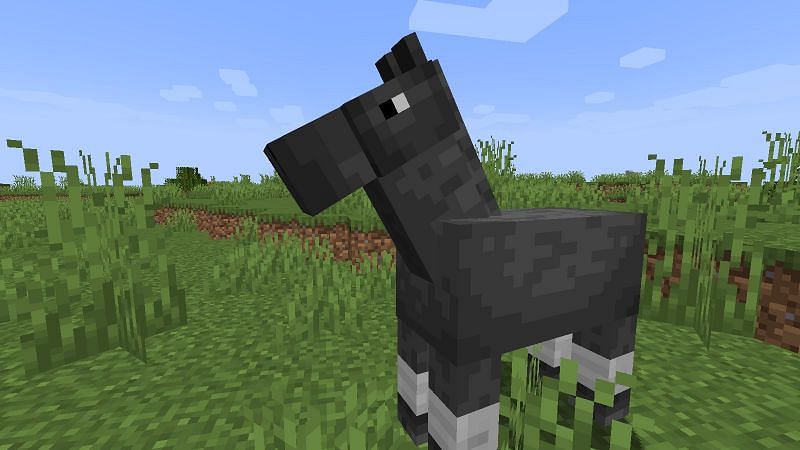 A horse in plains (Image via Minecraft)