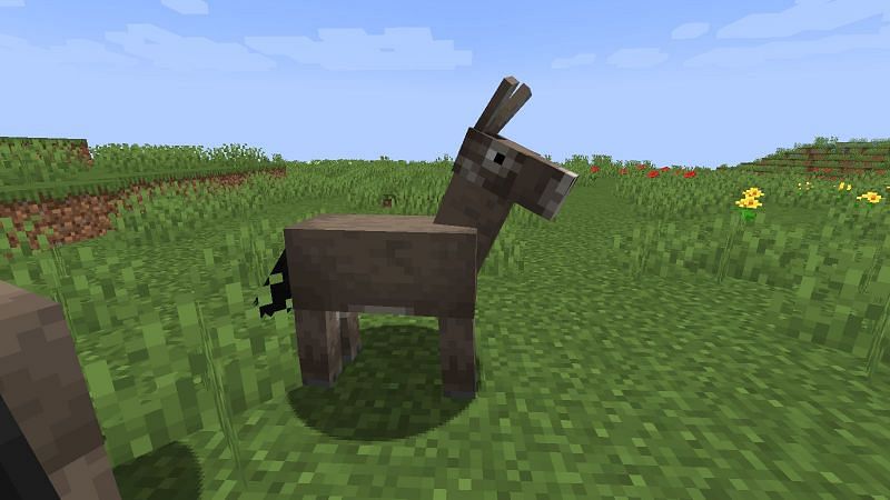 A donkey in plains biome (Image via Minecraft)