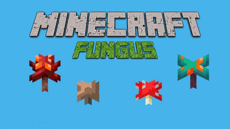 Minecraft fungi