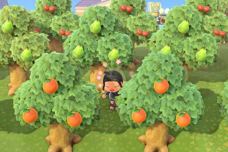 Trees in Animal Crossing (Image via Polygon)