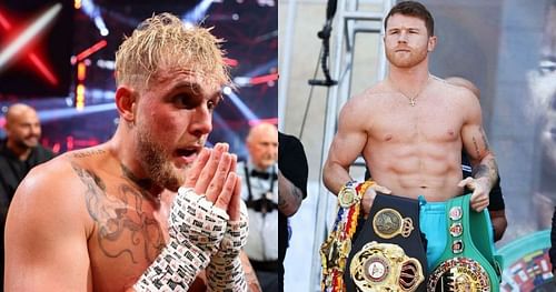 Jake Paul (left) & Canelo Alvarez (right)