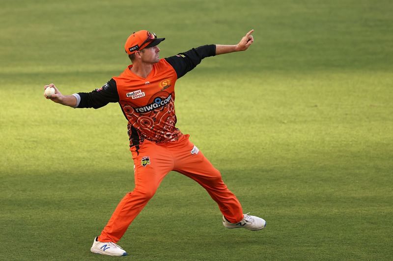 BBL - Scorchers v Sixers