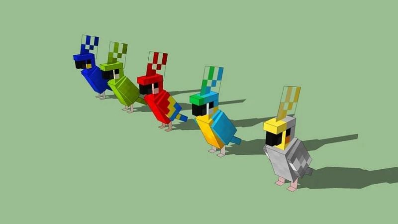 Five variants of Parrots (Image via 3DWarehouse)