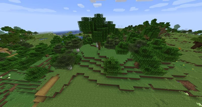 Forest biomes have a 1/11 chance of being generated