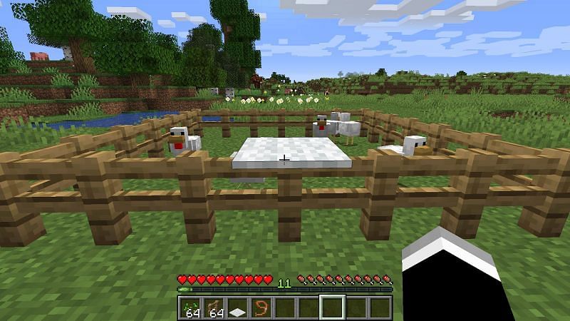 After finding chickens, players can build fences around them (Image via Minecraft) 