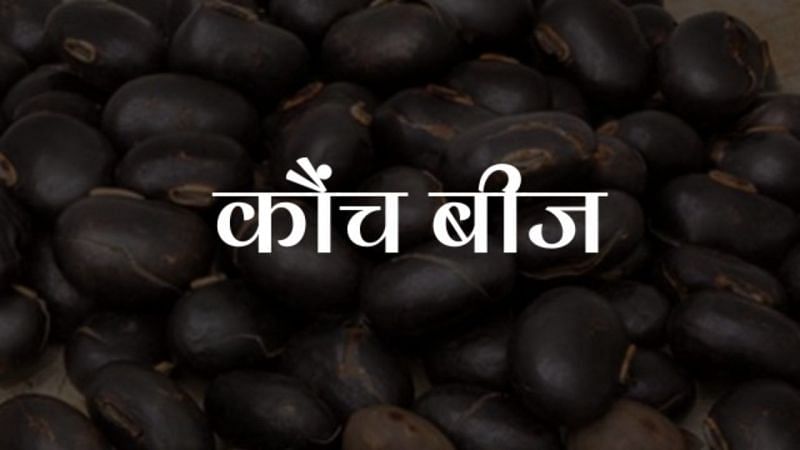 फोटो- HGK