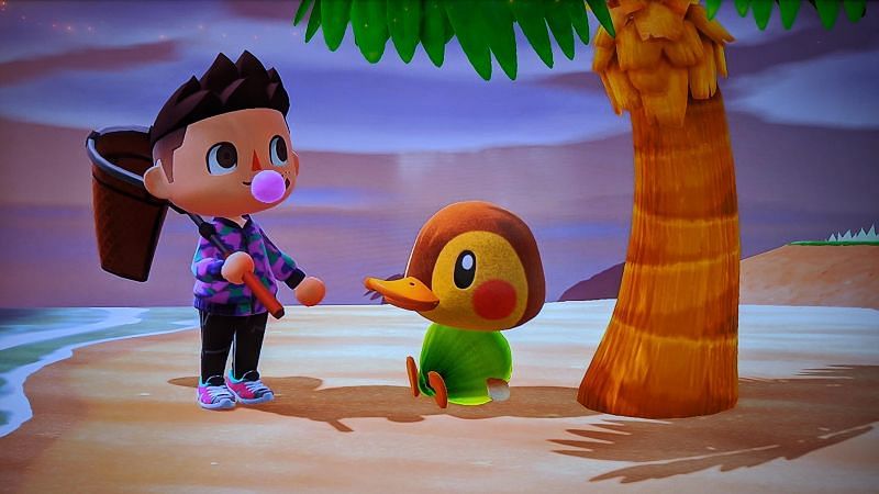 Animal Crossing player hanging out with Molly in New Horizons (Image via Reddit)