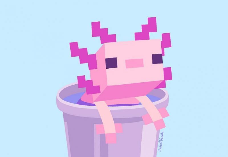 A cute little Axolotl in a bucket (Image via u/ItsJustVanilla on Reddit)