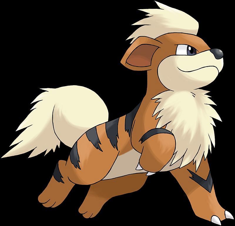  Growlithe Pokemon