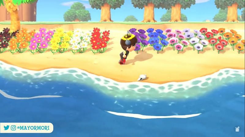 Top 5 Animal Crossing: New Leaf features we need in New Horizons