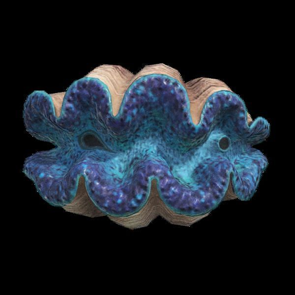 A Gigas giant clam. Image via Animal Crossing Wiki