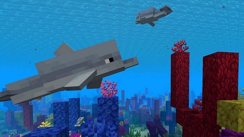 Dolphins swimming near a coral reef in Minecraft. (Image via Minecraft.net)