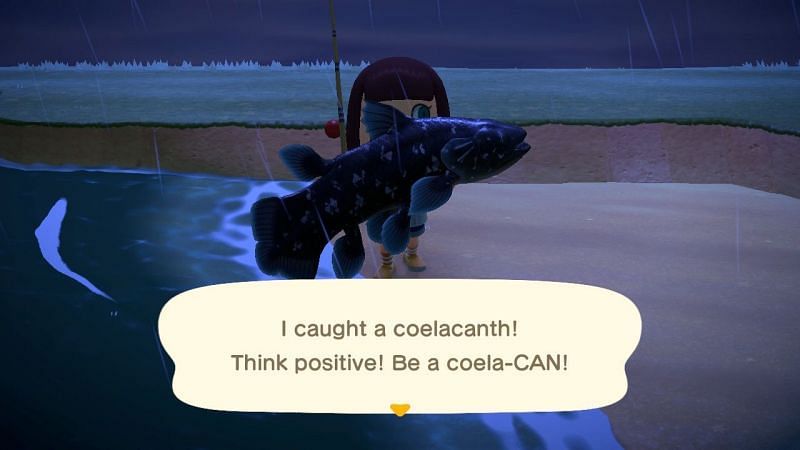 Coelacanth in Animal Crossing: New Horizons (Image via USGamer)