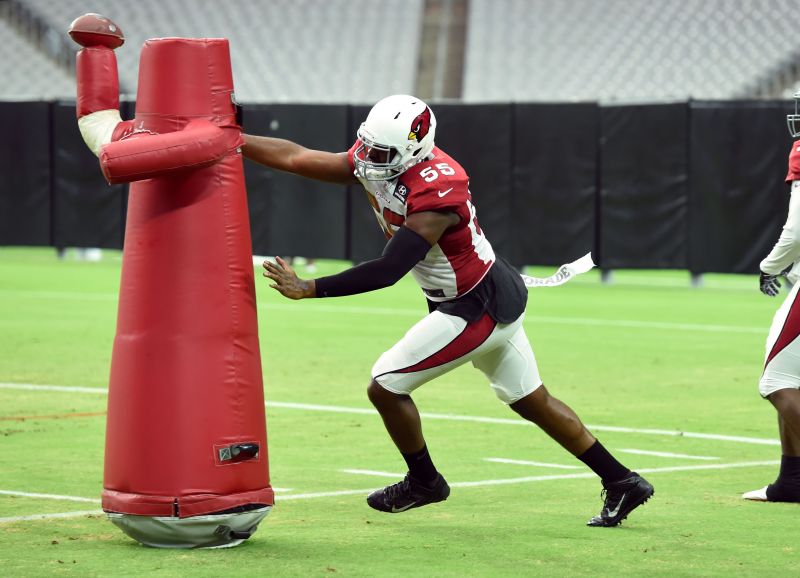 Arizona Cardinals Training Camp