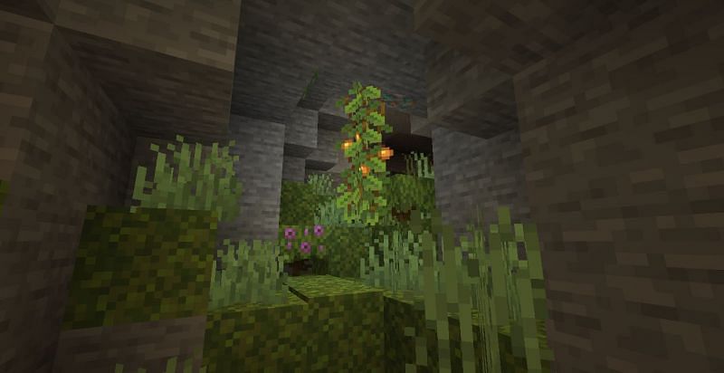 New glow berries (Image via Minecraft)