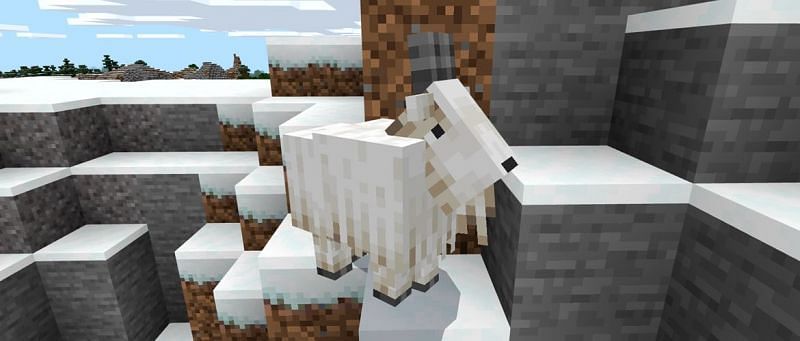 Mountain goats in Minecraft 1.17 version: All you need to know - Sportskeeda