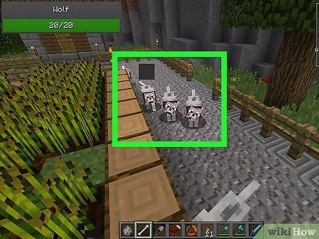 Multiple wolves guarding a farm against intruders (Image via wikiHow)