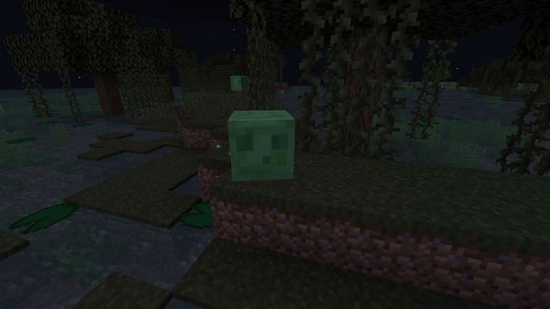 A small slime in the swamp biome (Image via Minecraft)