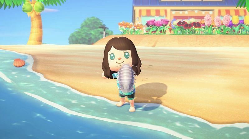 A giant isopod in Animal Crossing. Image via Super Parent