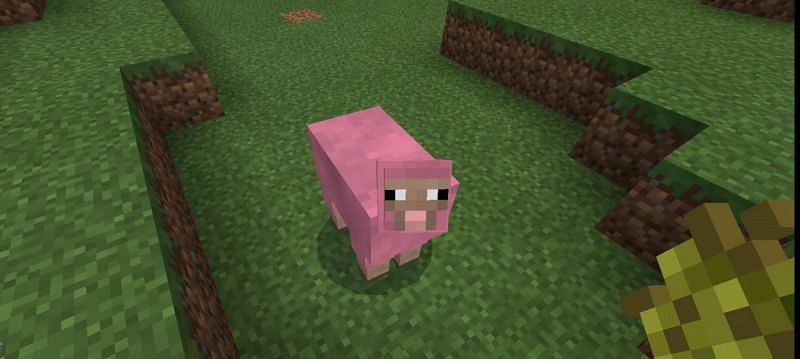 Naturally spawned pink sheep (Image via Reddit)