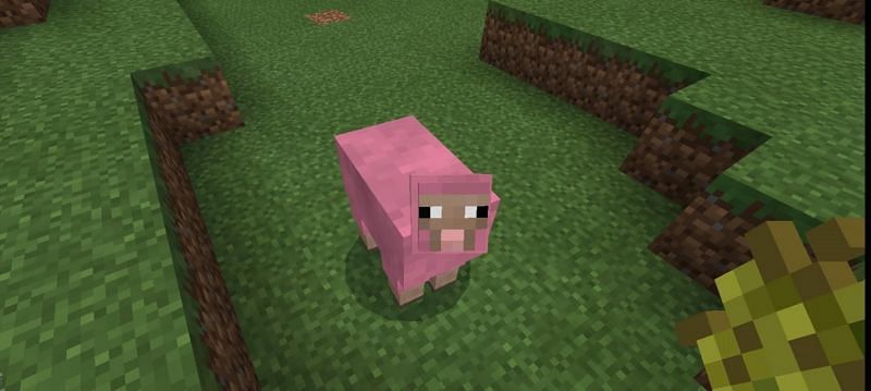 Pink sheep from minecraft