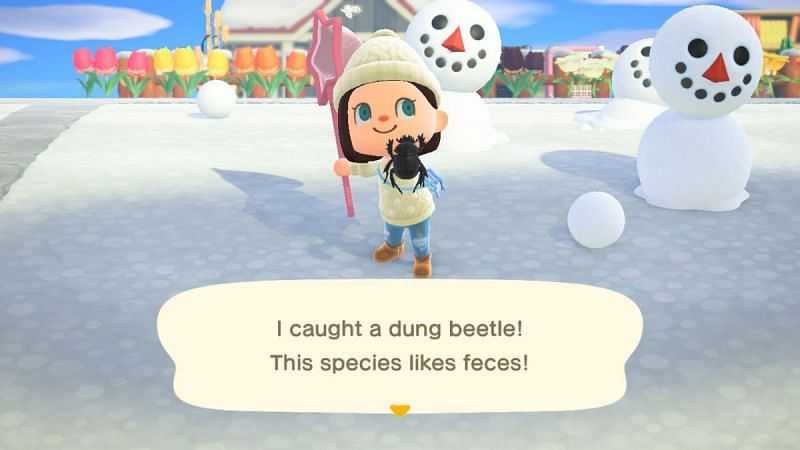 An Animal Crossing: New Horizons player with an earth boring dung beetle they caught (Image via GamesRadar)