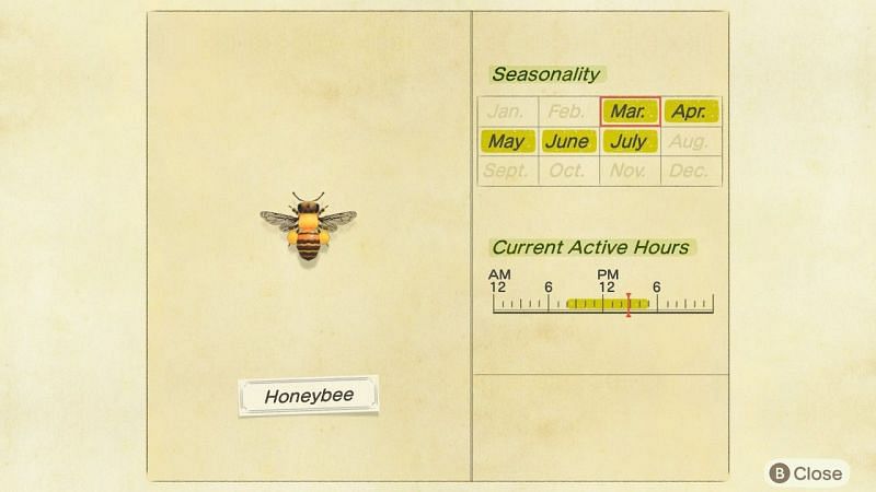 Honeybees are easily available if your island has a lot of flowers (Image via Animal Crossing wiki)