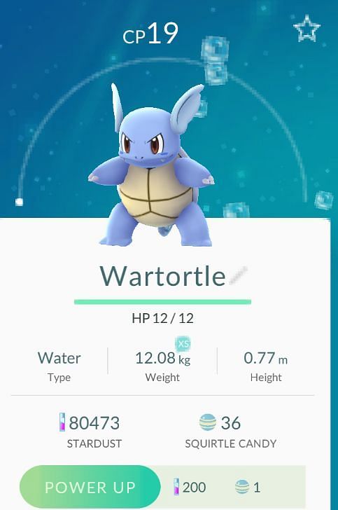 Wartortle Pokémon: How To Catch, Moves, Pokedex & More